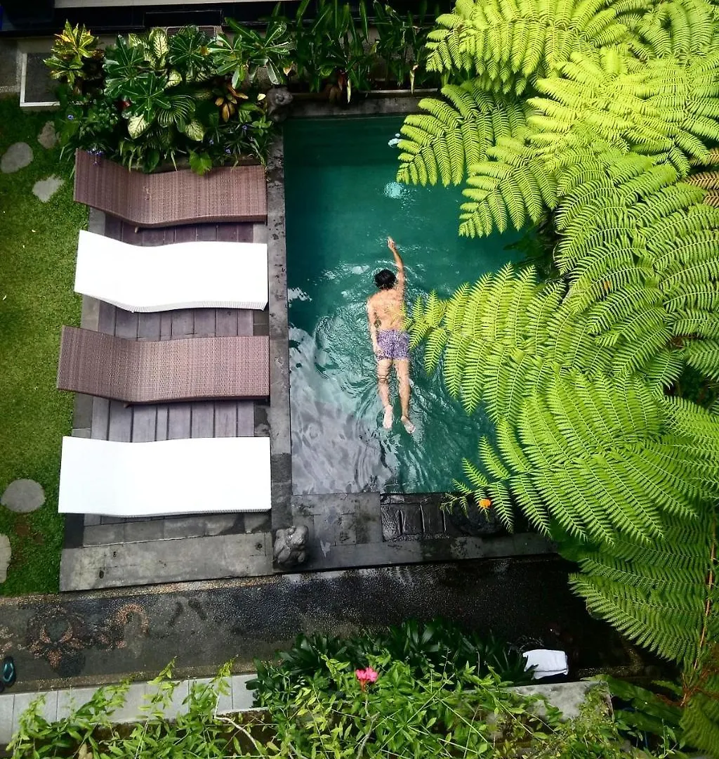 Donald Home Stay Ubud  Homestay
